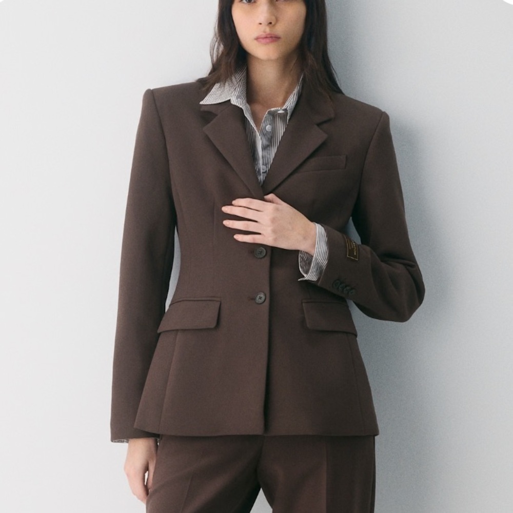 Babaton Standout Blazer